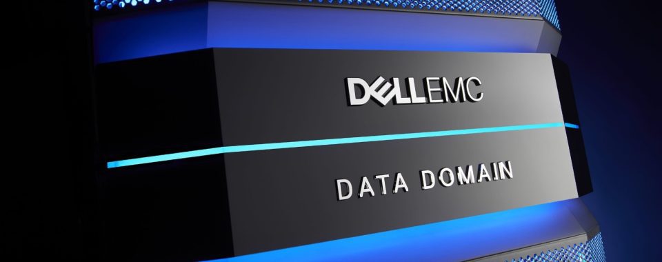 DataDomain چیست؟